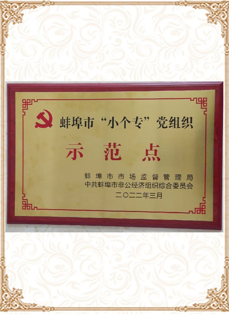 蚌埠市“小個?！秉h組織示范點(diǎn)