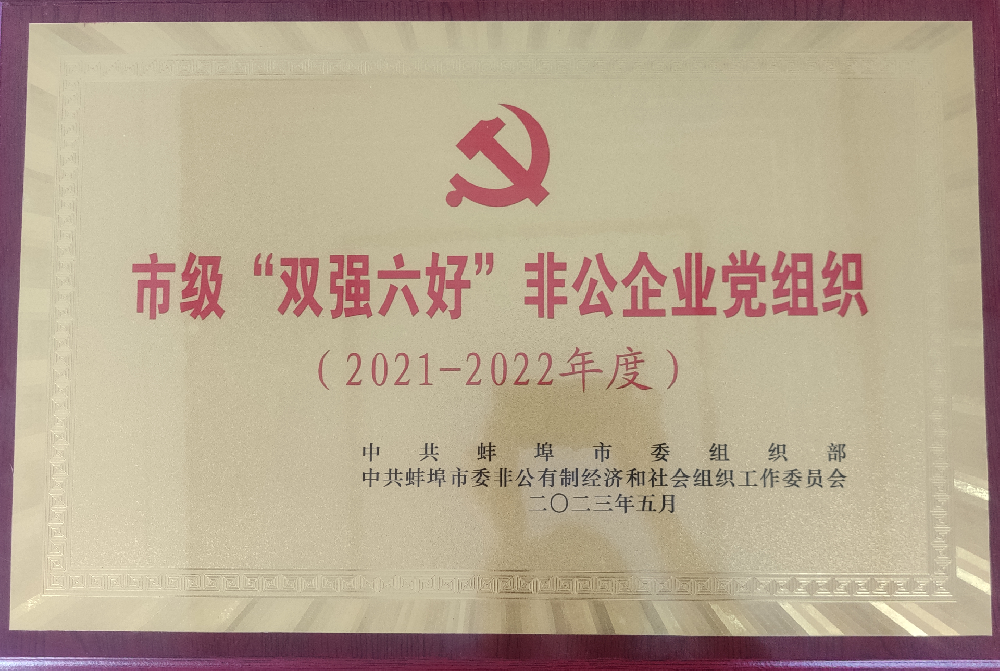 喜報(bào)！中共安徽盛世新能源材料科技有限公司支部委員會(huì)榮獲蚌埠市“雙強(qiáng)六好”非公企業(yè)黨組織榮譽(yù)稱號(hào)